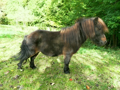 26.09 (34) - Kopie.JPG