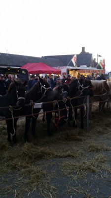 Hedel2015(3) - Kopie.jpg